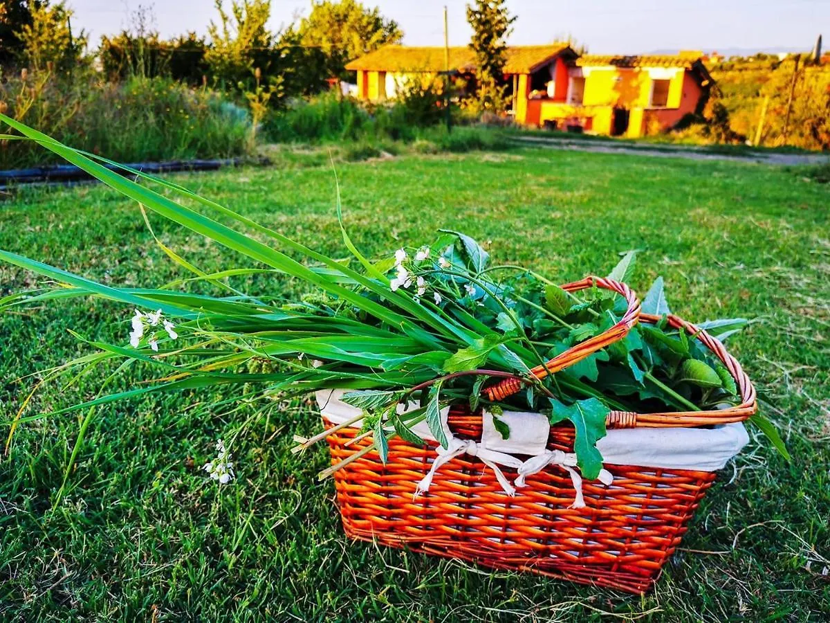 Country House Erba Regina Frascati