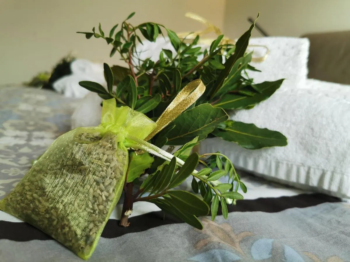Farm stay Country House Erba Regina Frascati